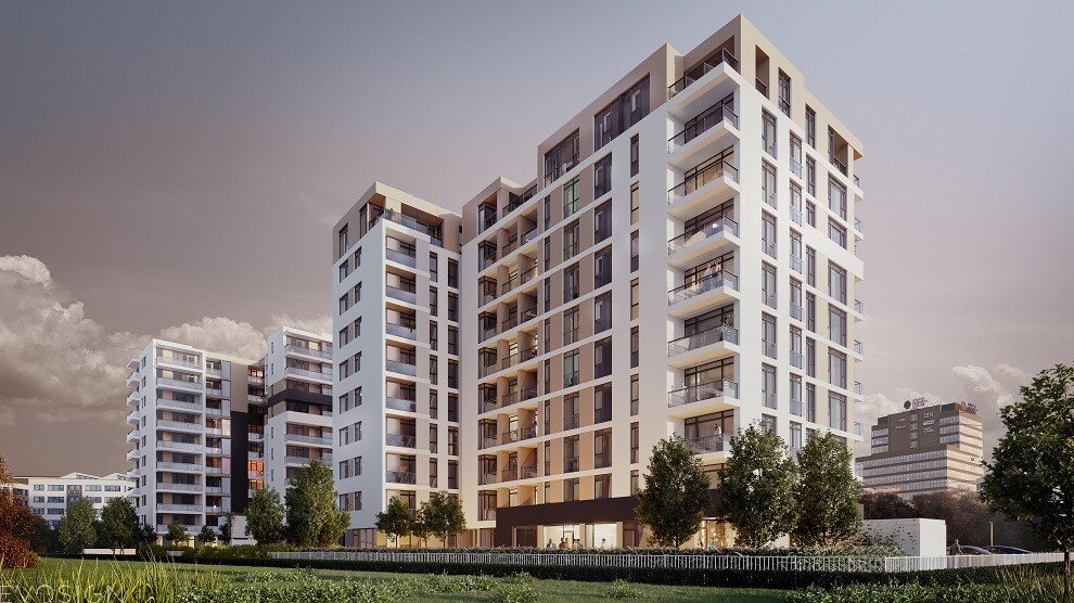 Reranding Cofetăria Libelula