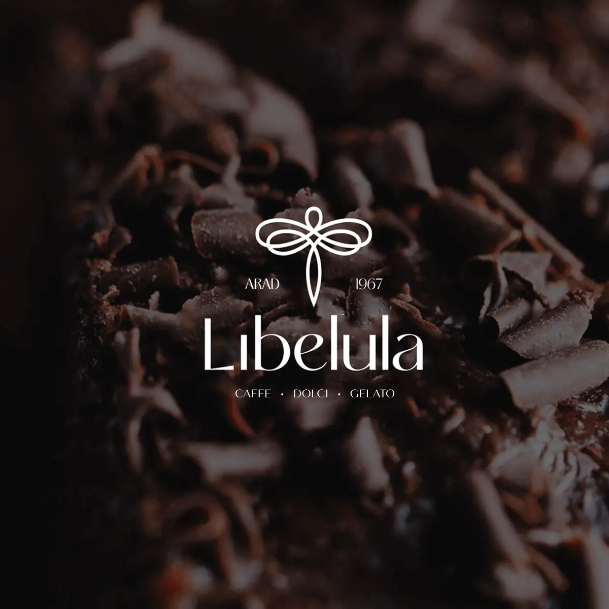 Cofetaria Libelula Arad — portofoliu Invento